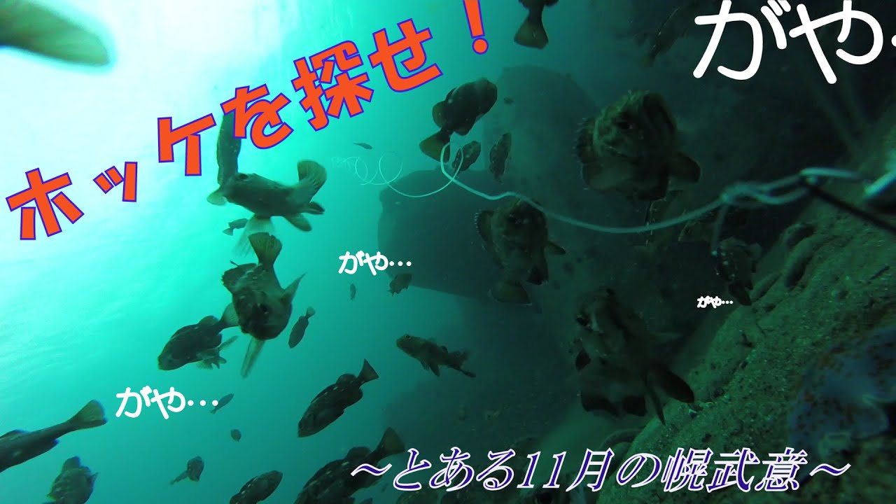 投げ釣り師必見!!　積丹半島の超人気漁港の海中をのぞいて見て下さい!!ホッケは見つかるのか!?!?　　＃ホッケ釣り＃積丹#幌武意