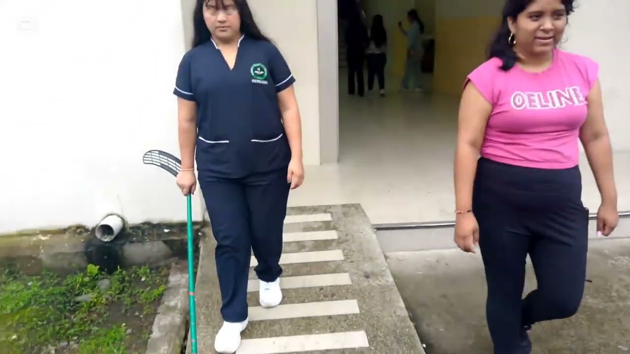 Inclusión Laboral Y Social De Personas Con Discapacidad: Guía Práctica 