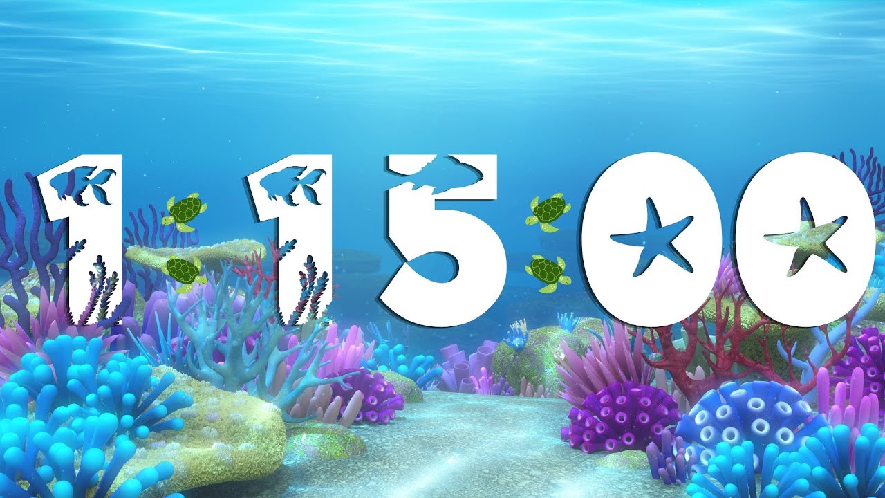 75 Minute Underwater Sea Timer