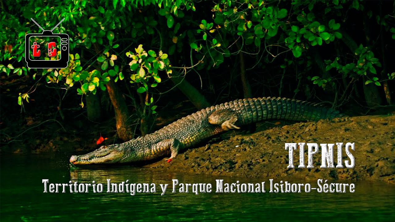 TIPNIS. Territorio Ind&iacute;gena y Parque Nacional Isiboro-S&eacute;cure 📺 Documental hecho en Bolivia 🇧🇴 🌎