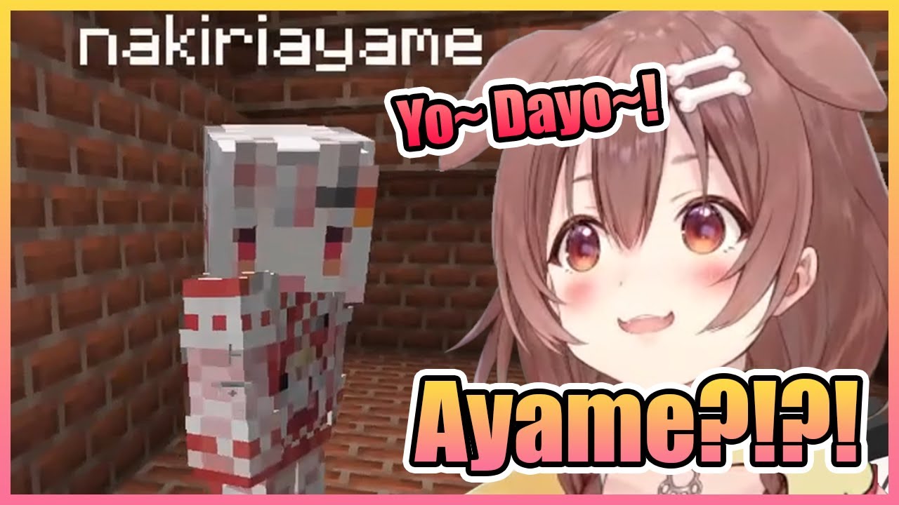 A Random Ayame Fell From the Sky and Scared the Crap Out of Korone...【Hololive】