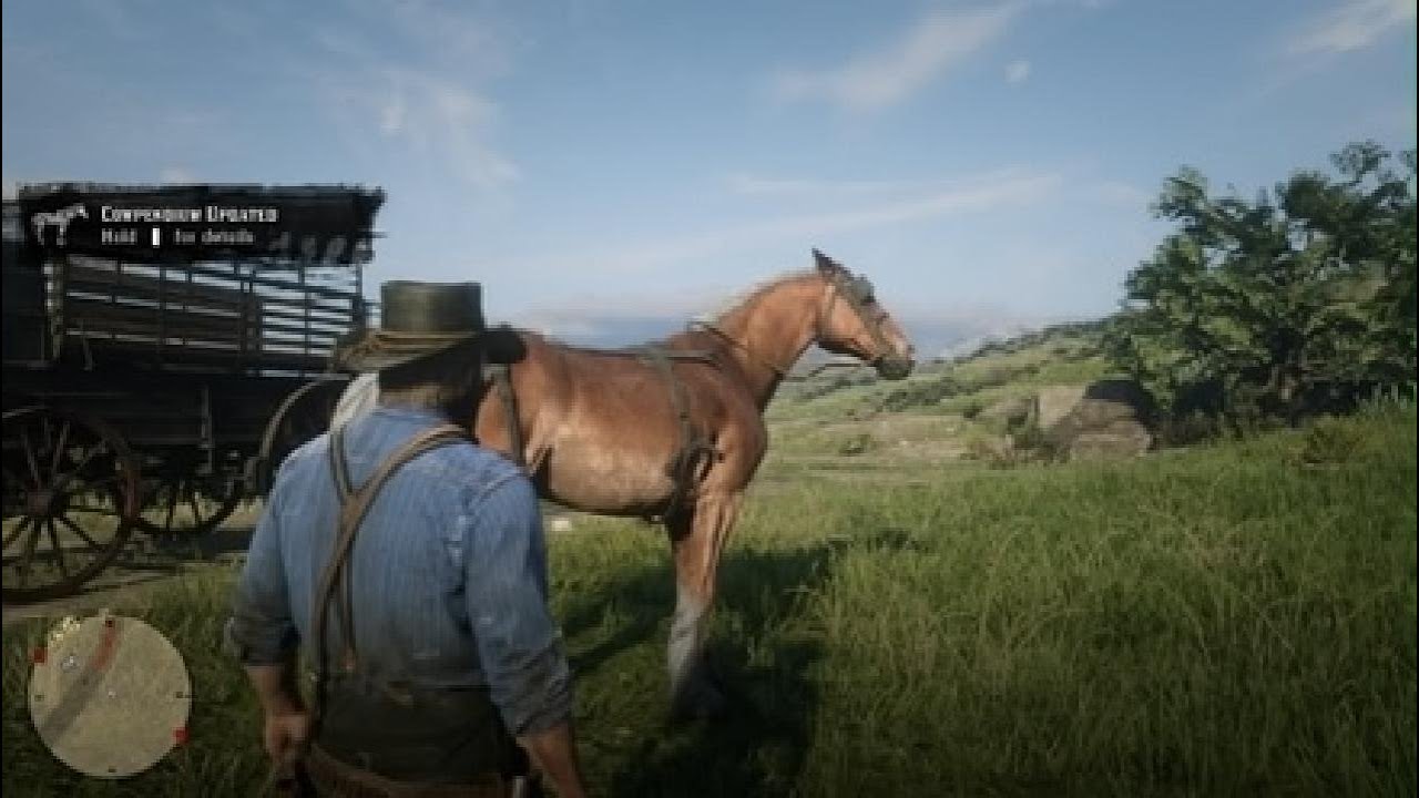 Red Dead Redemption 2_20260206184710