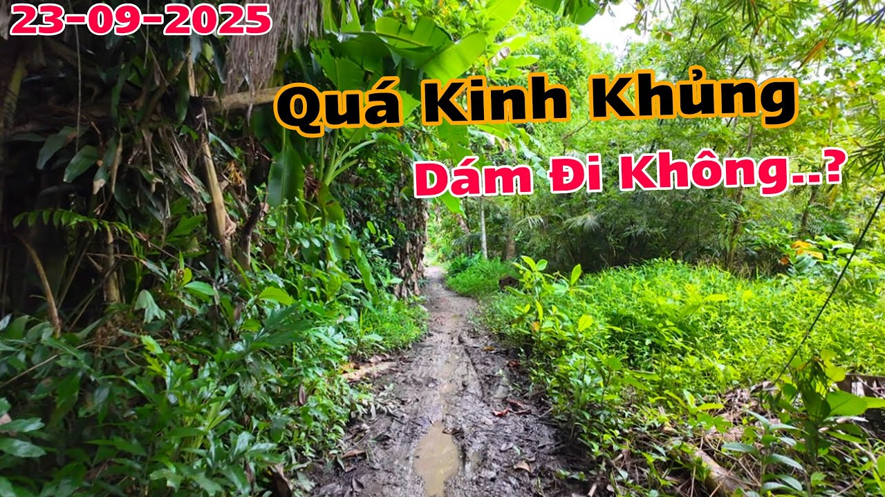 BÀN TÂN ĐỊNH GIỒNG RIỀNG KIÊN GIANG CŨ CÓ CON ĐƯỜNG VÔ MÀ RA KHÔNG ĐƯỢC