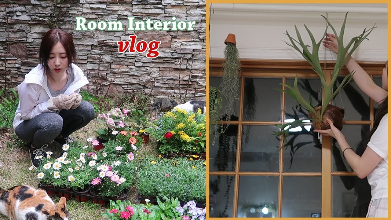 [Interior #1] 방 인테리어 & 정원 꾸미기 Vlog #1 방구조 바꾸기, 반려식물, 화분심기 | Room Interior & Exterior Vlog