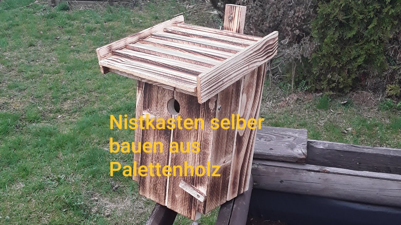 Nistkasten selber bauen aus Palettenholz