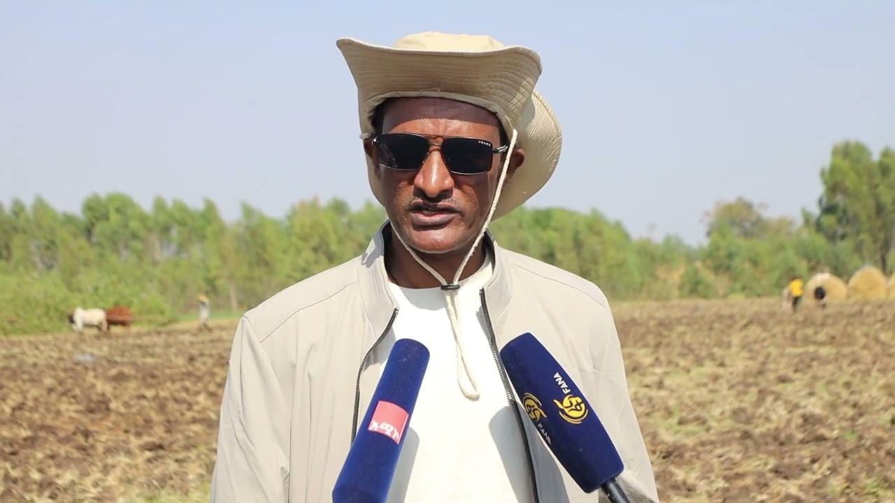 አቶ አሰፋ ጥላሁን