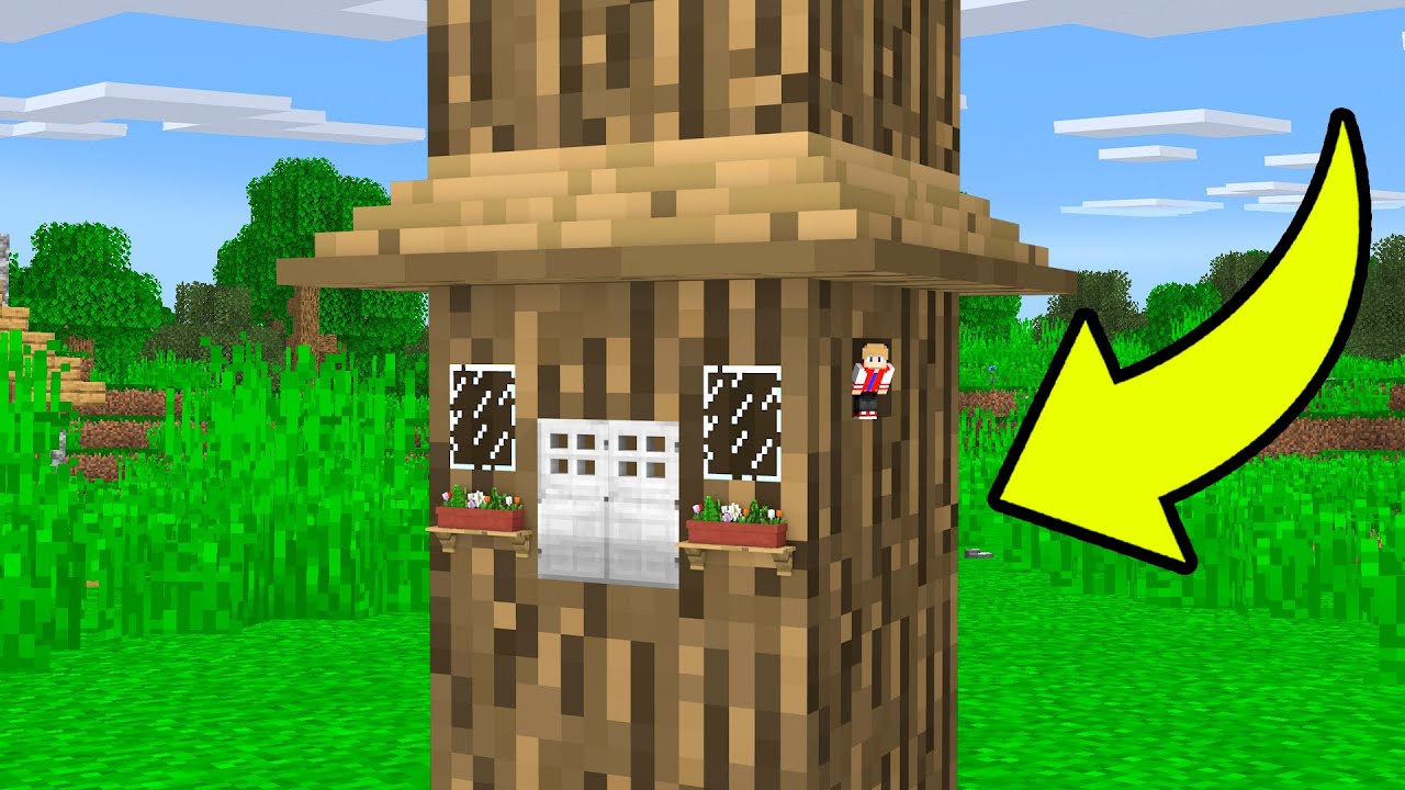 ENGANEI MEU AMIGO COM UMA CASA DENTRO DA ÁRVORE !