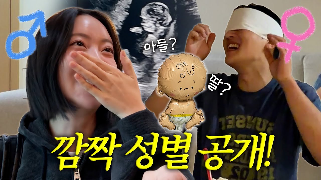 [VLOG] 꼬부기의 성별을 공개합니다♂️♀️ (+니프티 검사 결과)