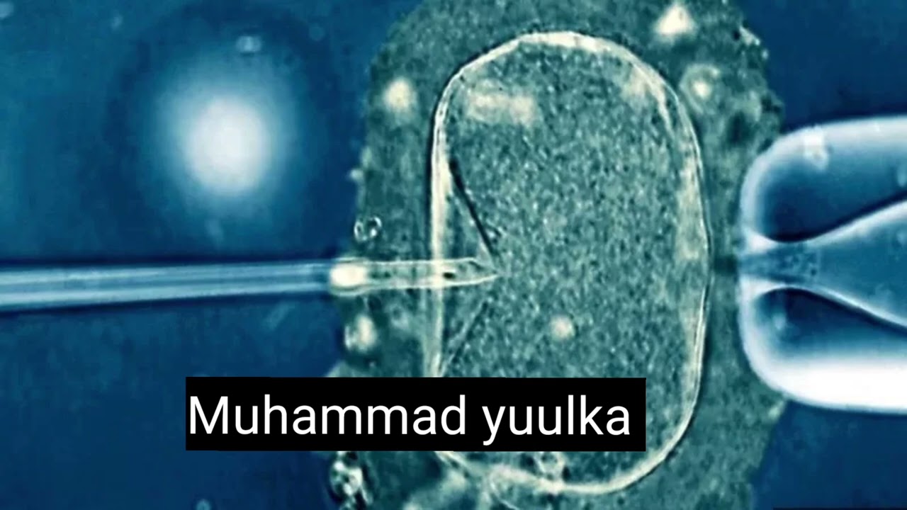 Da'da dumarka ay ku dhalmo daayaan mala kordhin karaa?