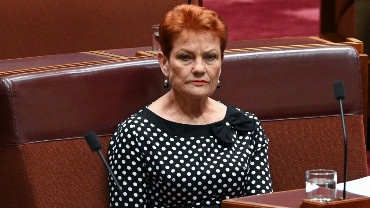 ‘Unfortunate’: Pauline Hanson has become almost the 'face’ of anti-immigration push
