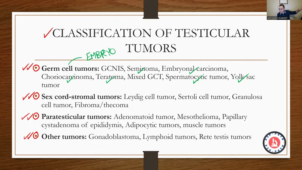 GU PATHOLOGY: TESTICULAR TUMORS (PART 1)