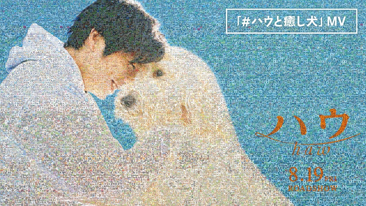 「映画『ハウ』オリジナル「味方」MV〜#ハウと癒し犬〜」