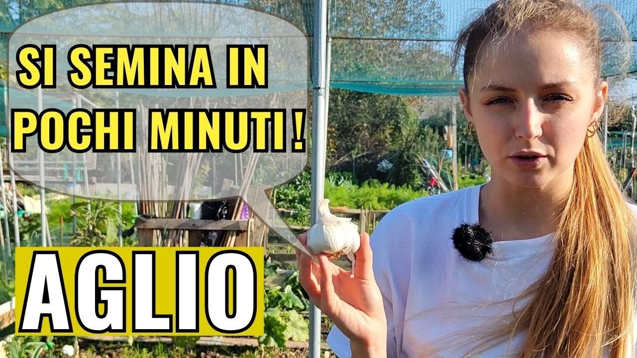 SEMINA AGLIO in 10 MINUTI: Tutorial COMPLETO per NON sbagliare!