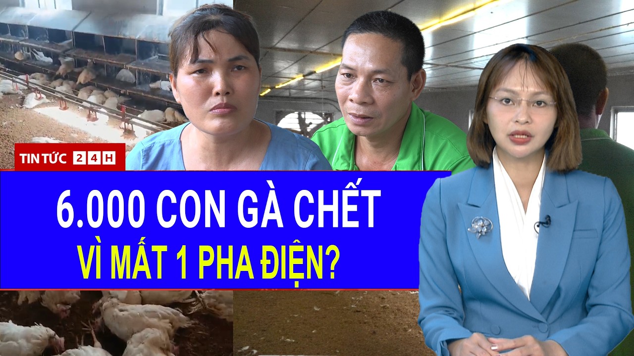 TO&Agrave;N CẢNH: Mất Một Pha Điện Chưa Đầy 1 Giờ, Gần 6.000 Con G&agrave; 