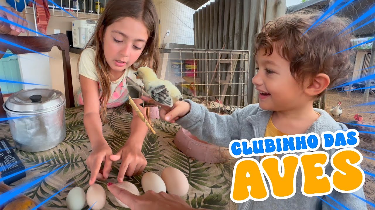 CHOVEU NO GALINHEIRO - Vamos cuidar dos animais