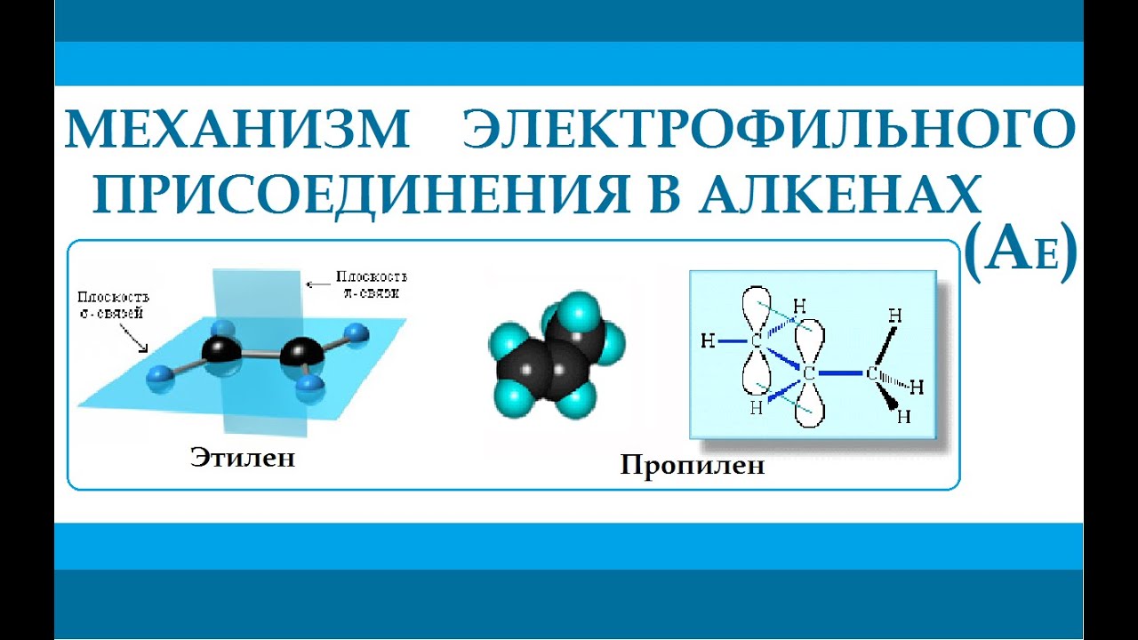 Алкены. Механизм реакции электрофильного присоединения.