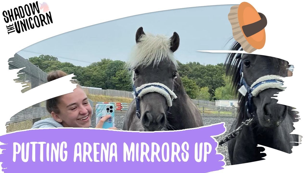 Putting up our NEW Arena Mirrors! | Shadow the Unicorn