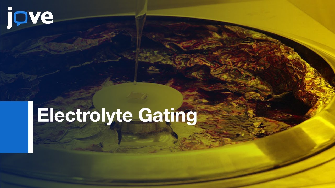 Electronic States Control in WS2 Nanodevices by Electrolyte Gating | Protocol Preview