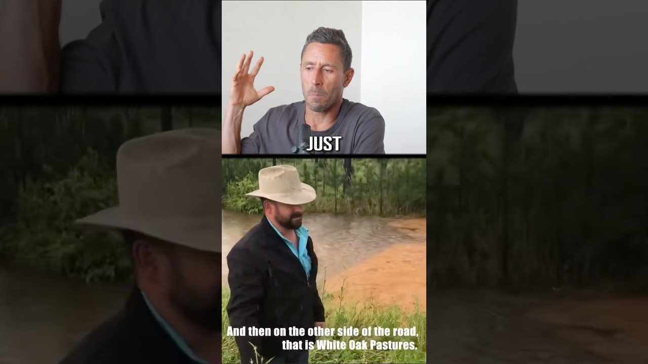 Grass fed vs grain fed meat