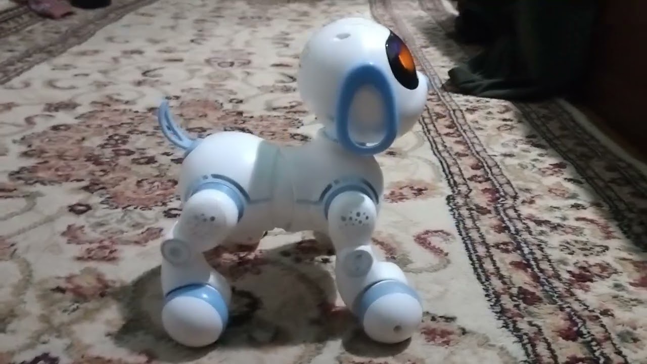 10 февраля 2026 г.