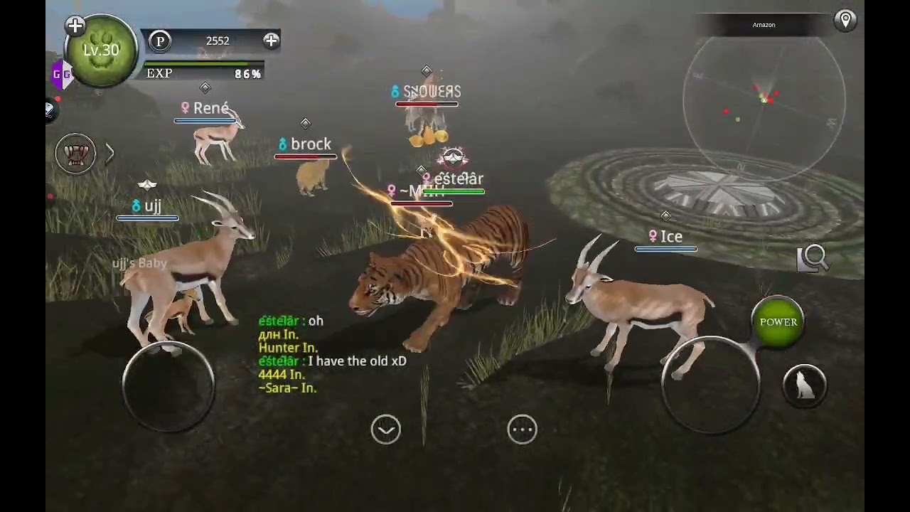 Wild Animals online with friends in Amazon
