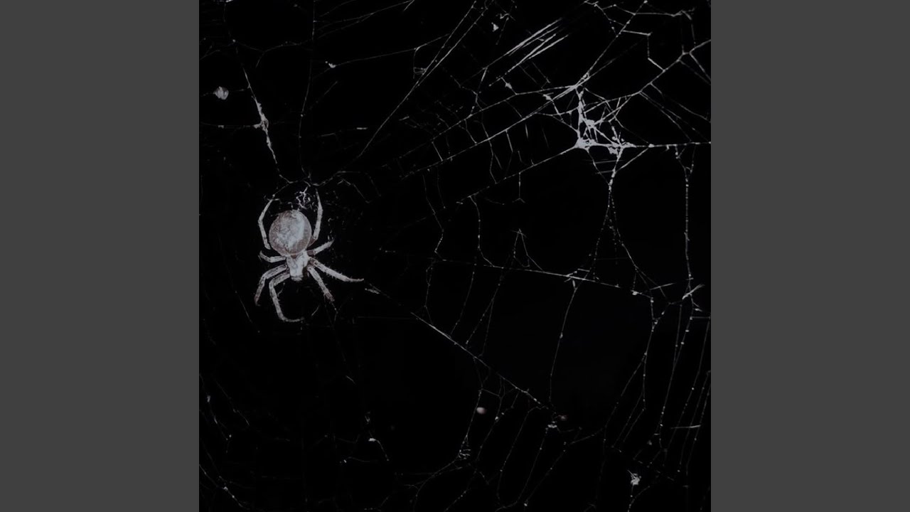 AMOK (SUPER SLOWED)