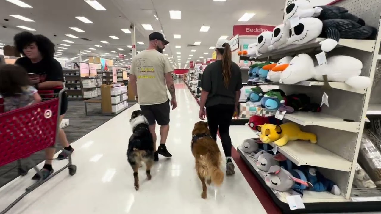 My boy Waylon turning 2🥰