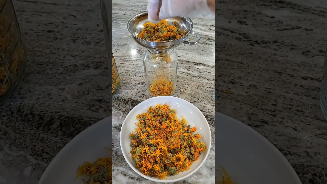 How to Use Calendula Flowers  |  Benefits