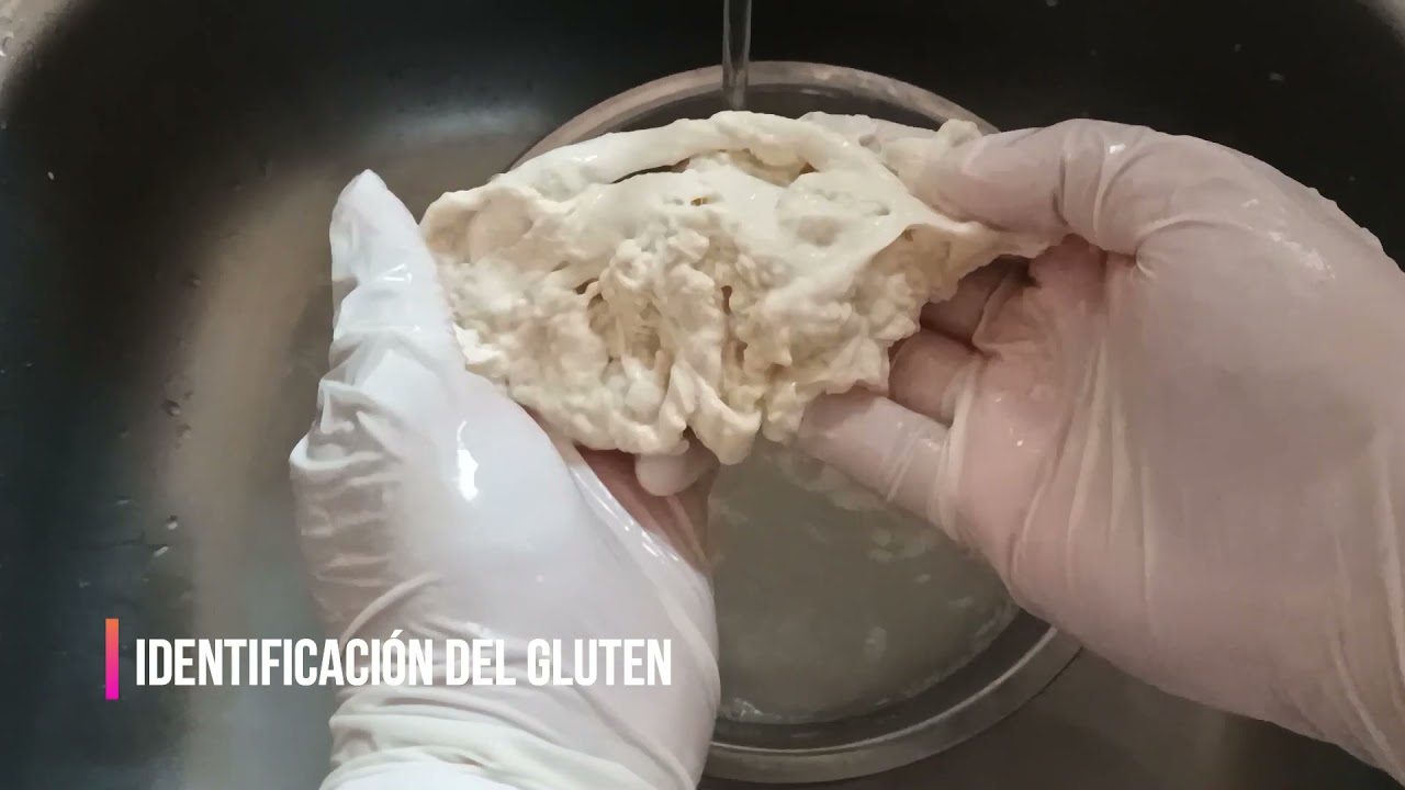 Obtención de Gluten (Gliadina + Glutenina)
