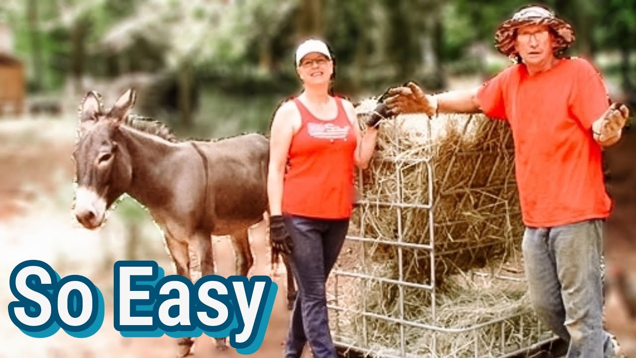 The Easiest No-Waste Hay Feeder We've Ever Built