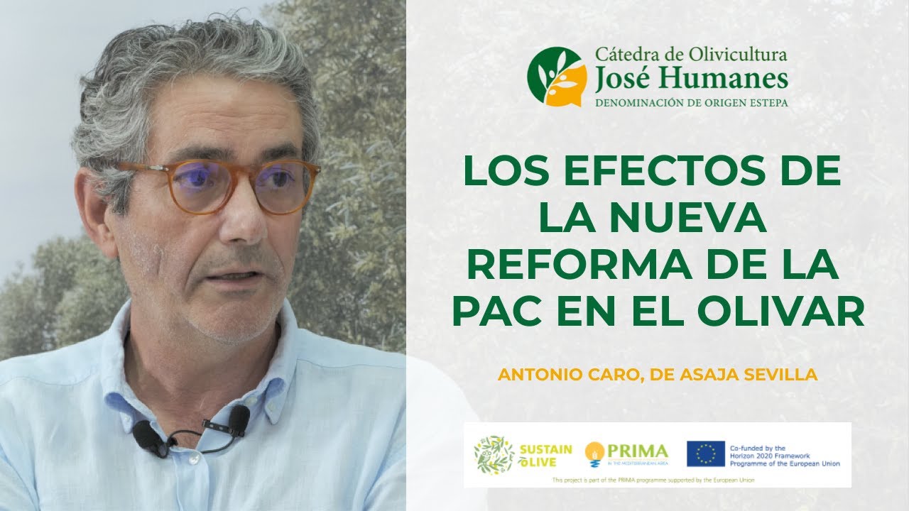 Conferencia 