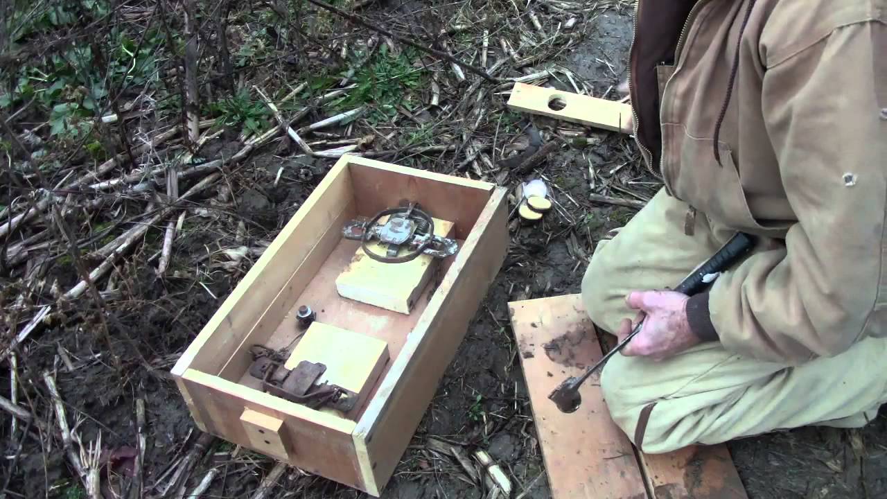 Coon trapping tips on how to make a cheap dog proof trap for coons from Poor Man's Outdoors