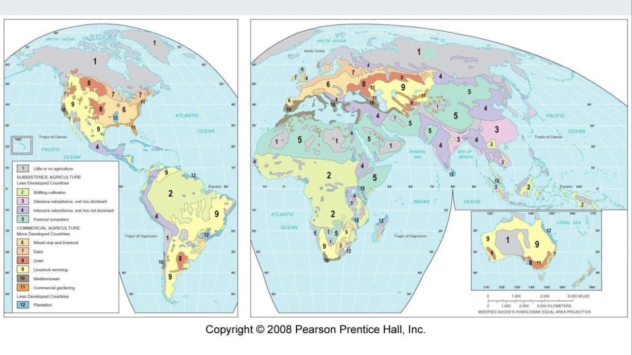 Transhumance and Pastoral Nomadism - Google Slides