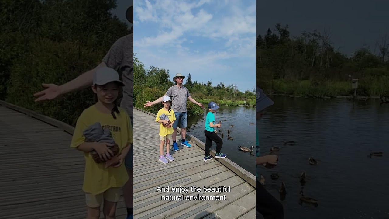 Burnaby Lake Regional Park: Experience the Beauty of a Must Visit Nature Spot