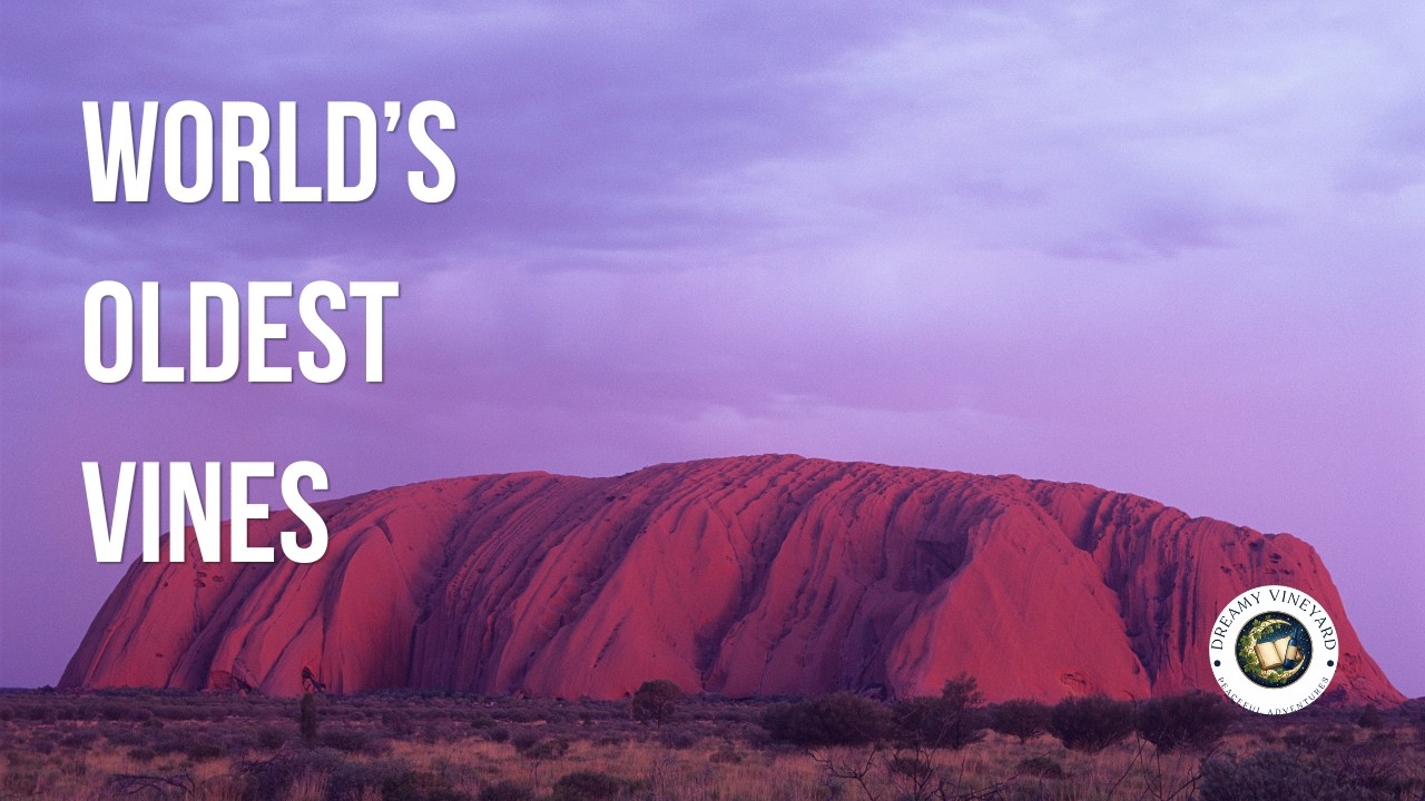 BLACK SCREEN | Australia - The Ancient Earth | A Relaxing Story for Sleep
