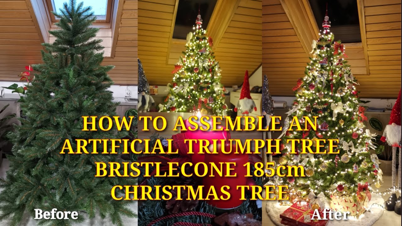 HOW TO ASSEMBLE AN ARTIFICIAL 🌲TRIUMPH TREE BRISTLECONE  185cm CHRISTMAS TREE🎄