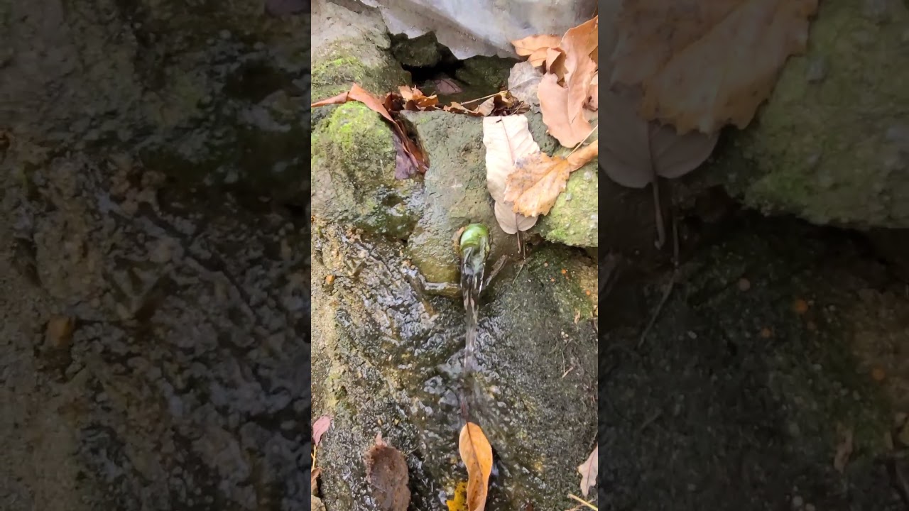 In The Middle of The Mountain 