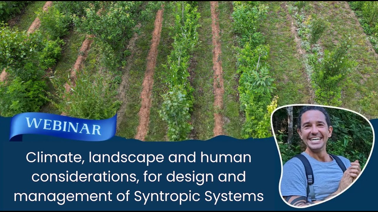 Climate, Landscape and Human Considerations for Design and Management of Syntropic Systems