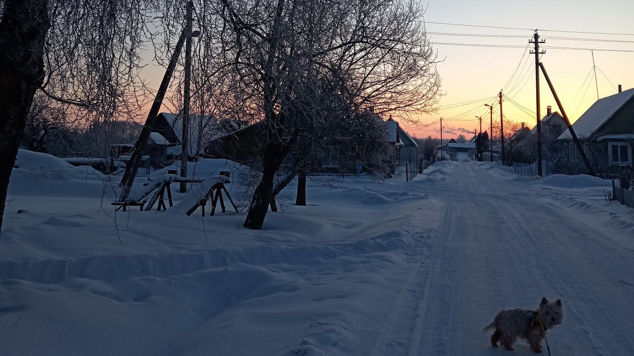 ❄️🏕️🤫✌️БЕЛАРУСЬ, ДЕРЕВНЯ, МОРОЗ. Без музыки. Все натурально и без пафоса. 10.02.2026. Видзы в - 27
