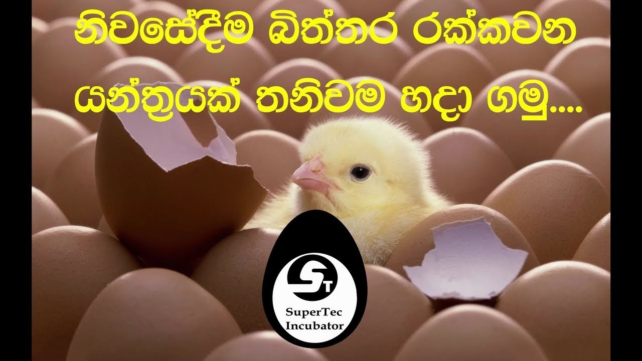HOw to make an incubator   (supertec incubators)
