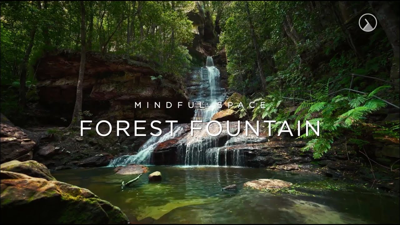 🌿 1 Hour Forest Fountain Meditation | Relaxing Ambient Music & Nature Soundscapes for Mindfulness