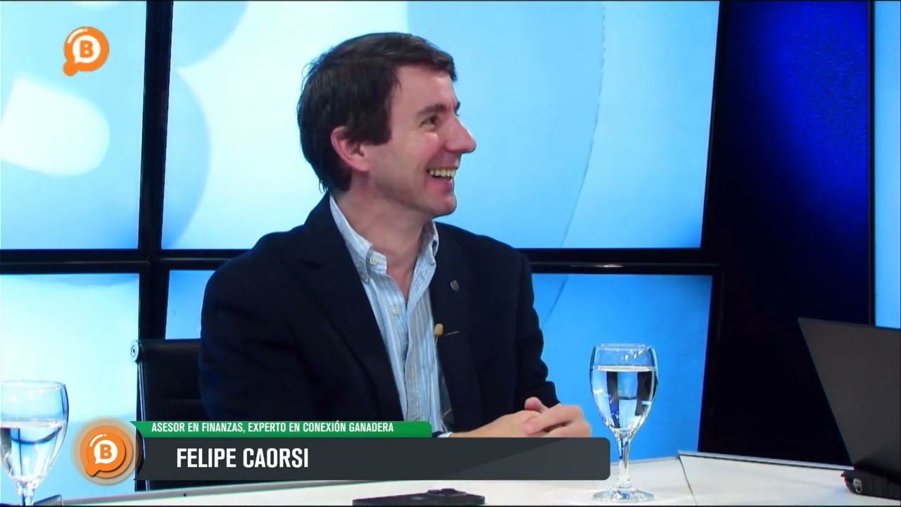 Entrevistamos a Felipe Caorsi, asesor en finanzas, experto en Conexión Ganadera
