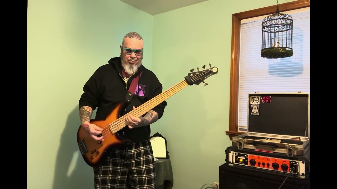 I’m not feeling well. I’ll call this Joyful Misery. #bassguitar #bassplayer #whiterican 