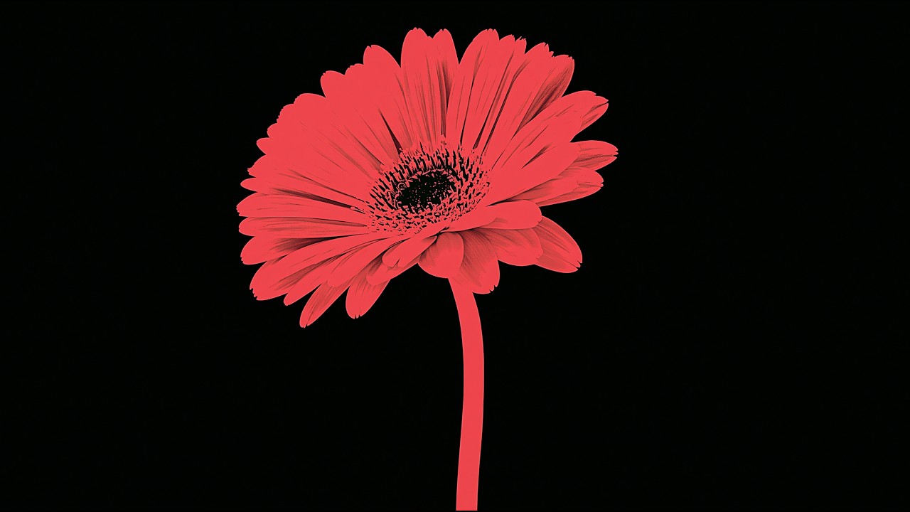 Forgiveness: An Antidote To Shame