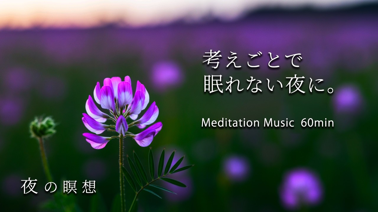 【夜の瞑想】考えごとでいっぱいの夜に聴くやさしいピアノ🌙🌼疲れた心と自律神経をそっと休ませる60分｜レンゲソウの癒し｜meditationmusic