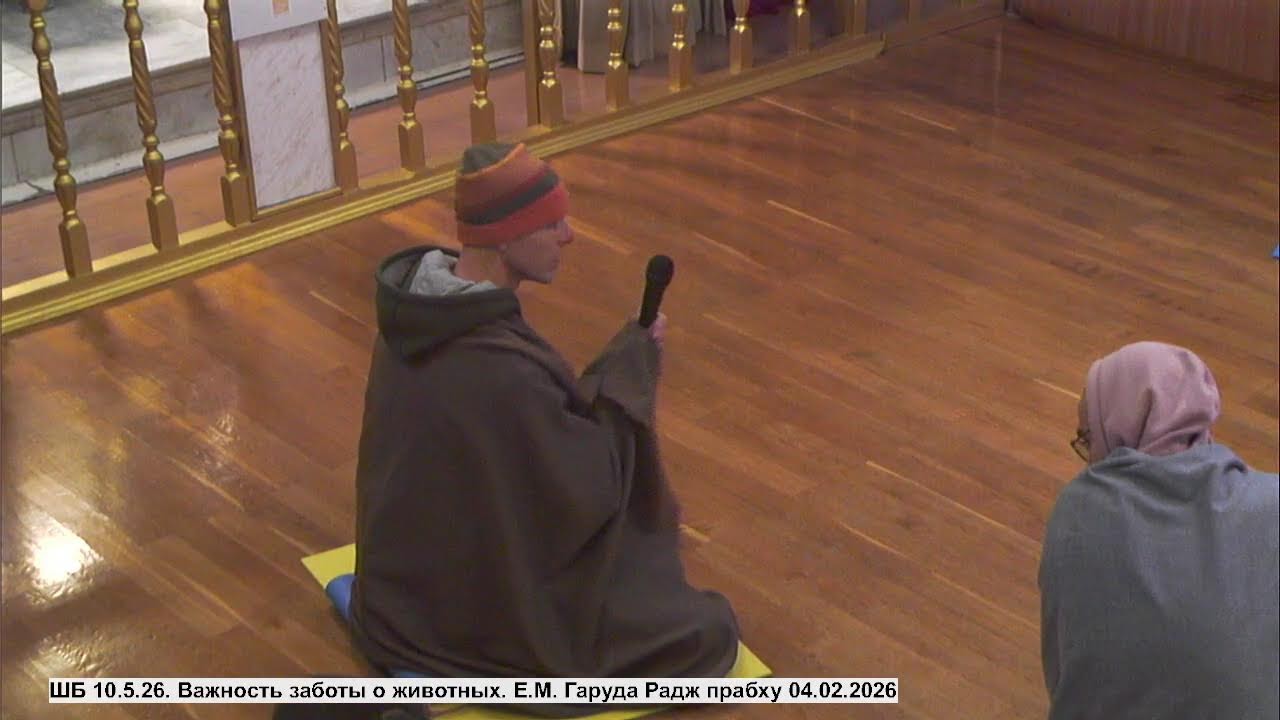 ШБ 10.5.26. Важность заботы о животных. Е.М. Гаруда Радж прабху 04.02.2026