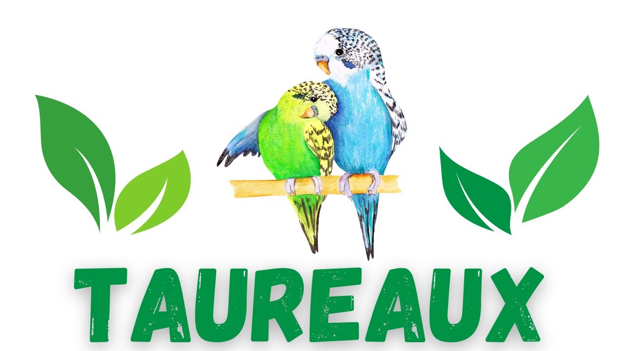 TAUREAU Après le silence, il y aura un rendez-vous qui changera tout 🌸Tu me manques😘