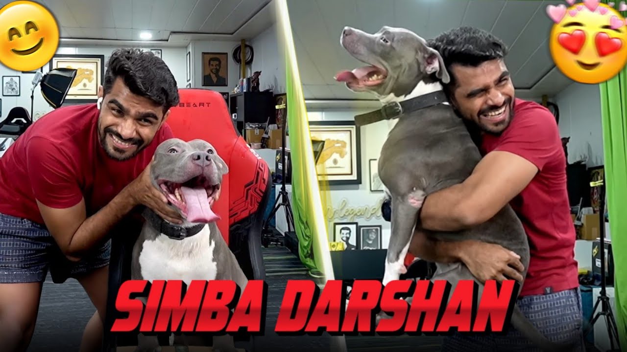 Baap Numbri Beta Dus Numbri || Simba Dharshan