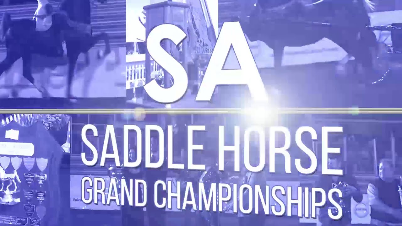 SA Saddle Horse Championships 2018