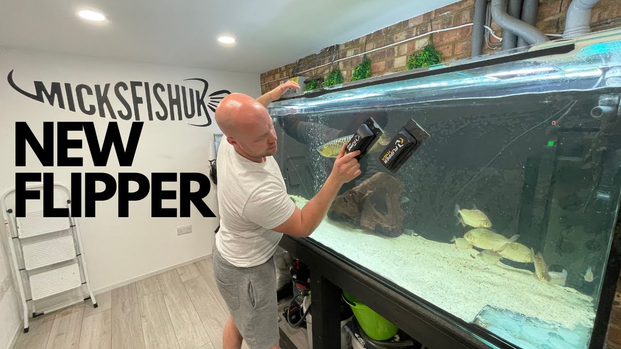 THE BRAND NEW FLIPPER MAX EDGE UNBOXING AND COMPARING WITH THE FLIPPER MAX